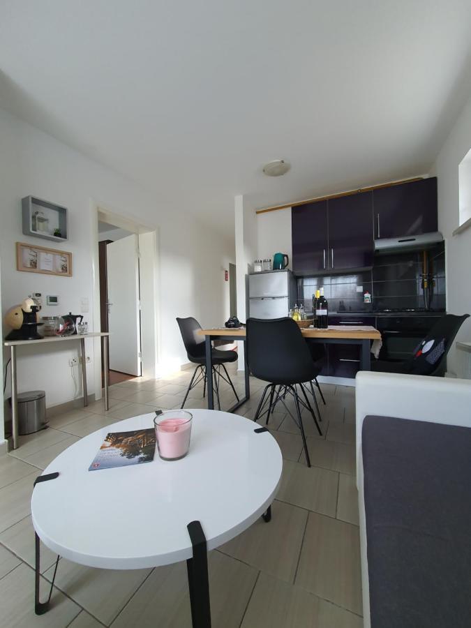 Apartment Sandra Toplice Sveti Martin Sveti Martin Na Muri Bagian luar foto